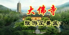 快捅我的逼逼里面视频中国浙江-新昌大佛寺旅游风景区